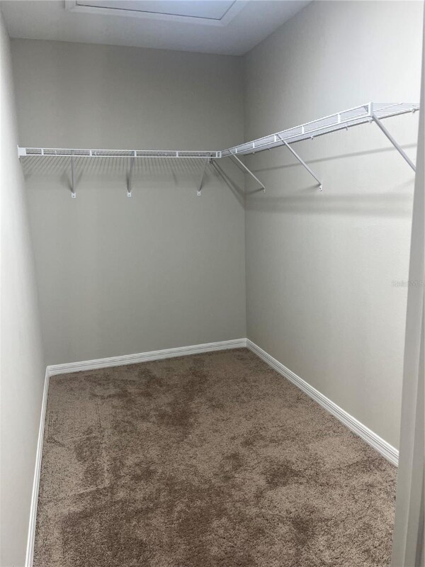 Foto del edificio - 34209 Scarlet Sage Ct