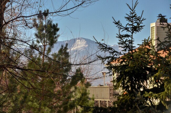 Foto del edificio - SPACIOUS home located in D-20!