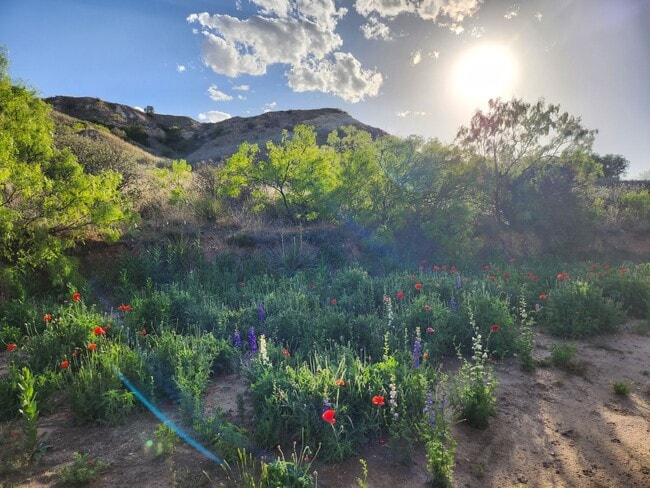 Foto del edificio - Beautiful Yellow House Canyon