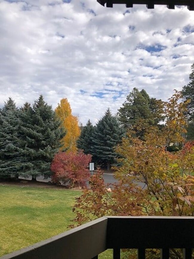 Building Photo - COMING IN JULY! 1-Bedroom Condo in Country...