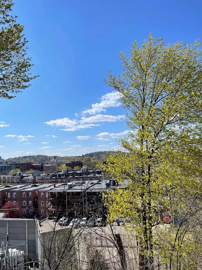 Foto del edificio - 16 Copenger St