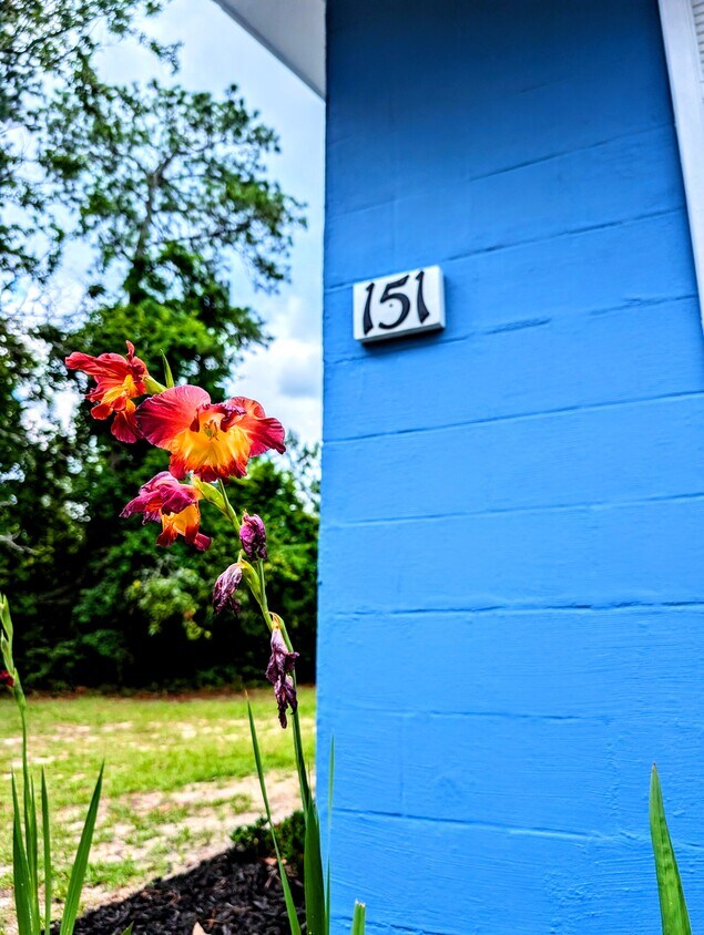 Foto principal - 151 Good Springs Rd