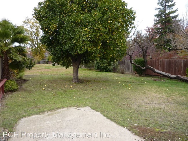 Foto del edificio - 6 br, 4 bath House - 3953 Y Street