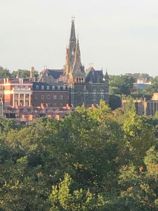 View from balcony - 1575 N Colonial Ter