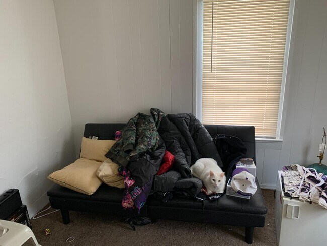 Photo - 413 Emmet St Apartment