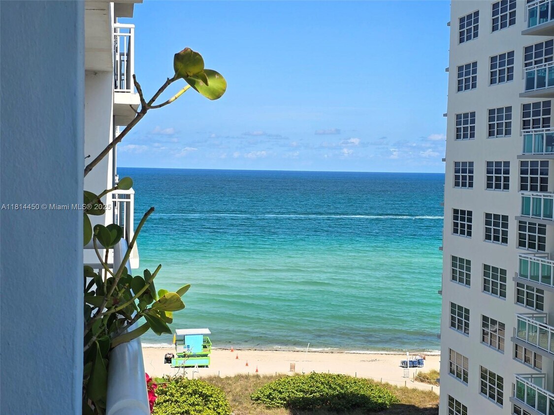 Primary Photo - 6969 Collins Ave