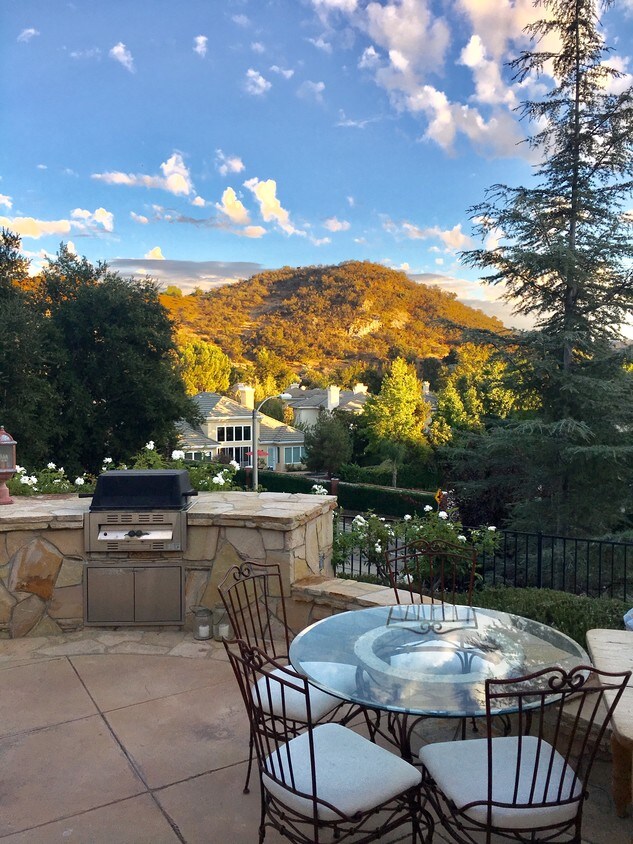 El patio trasero vista - 1784 Yarnton Ct