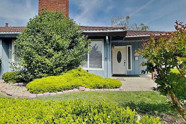 Photo - Halfplex with yard in South Land Park House