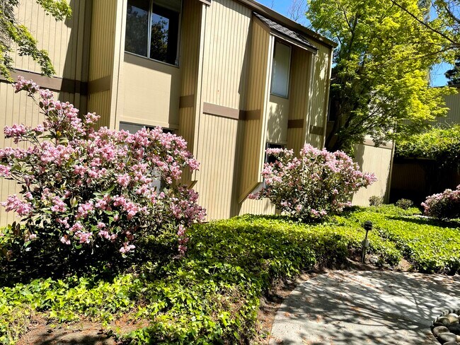 Building Photo - 505 Cypress Point Dr