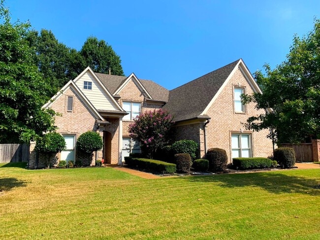 Building Photo - Available Now!