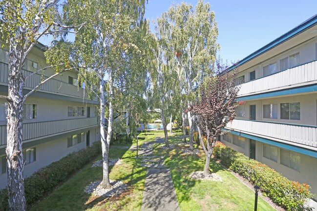 Beautiful Courtyard Views - Del Medio Garden Apartments