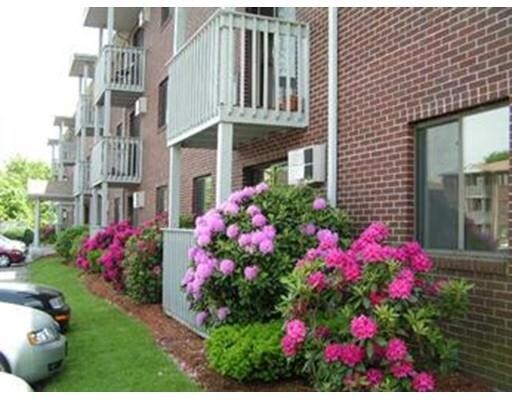 Building Photo - 1007 Westford St