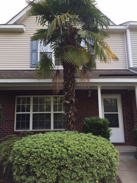 Building Photo - Oak Bluff Townhome