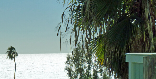 Foto del edificio - 217 Dolphin Way