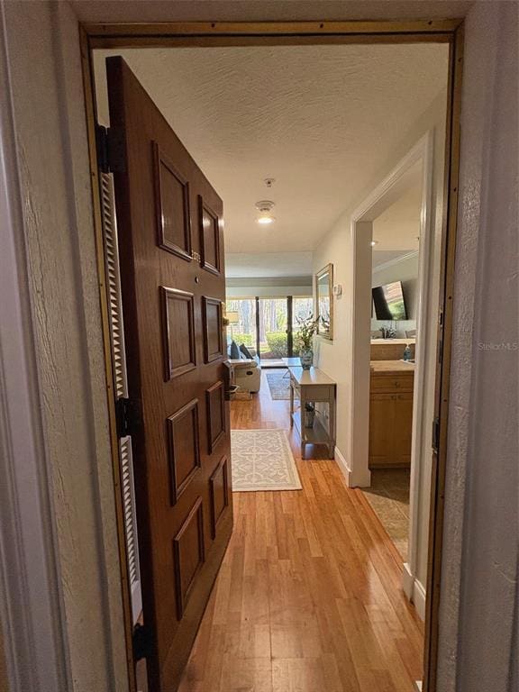 Building Photo - 36750 US Hwy 19 N