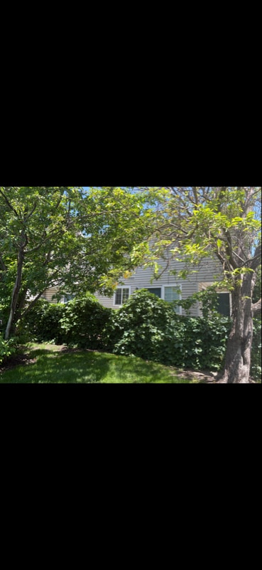 Primary Photo - 164 Freedom Ln
