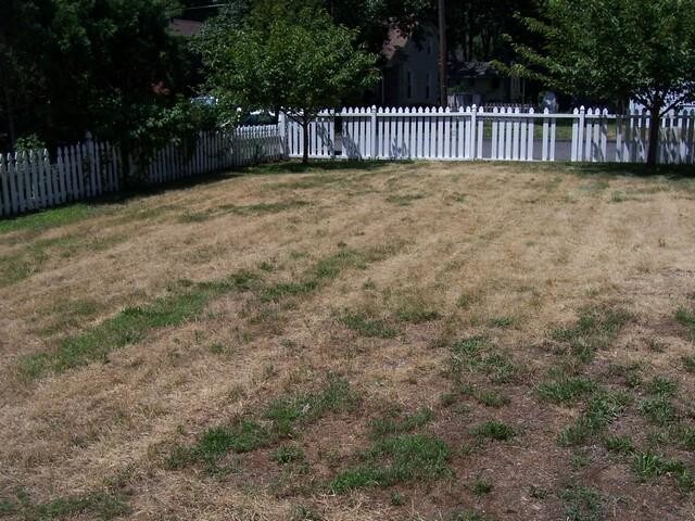 Foto del edificio - 5 bedroom in Runnemede New Jersey 08078