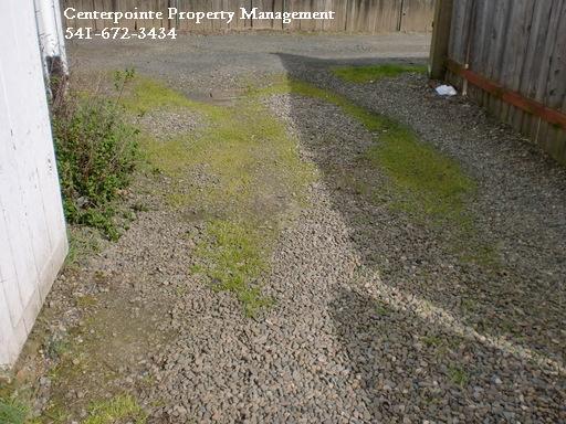 Foto del edificio - 723.5 W Ballf St