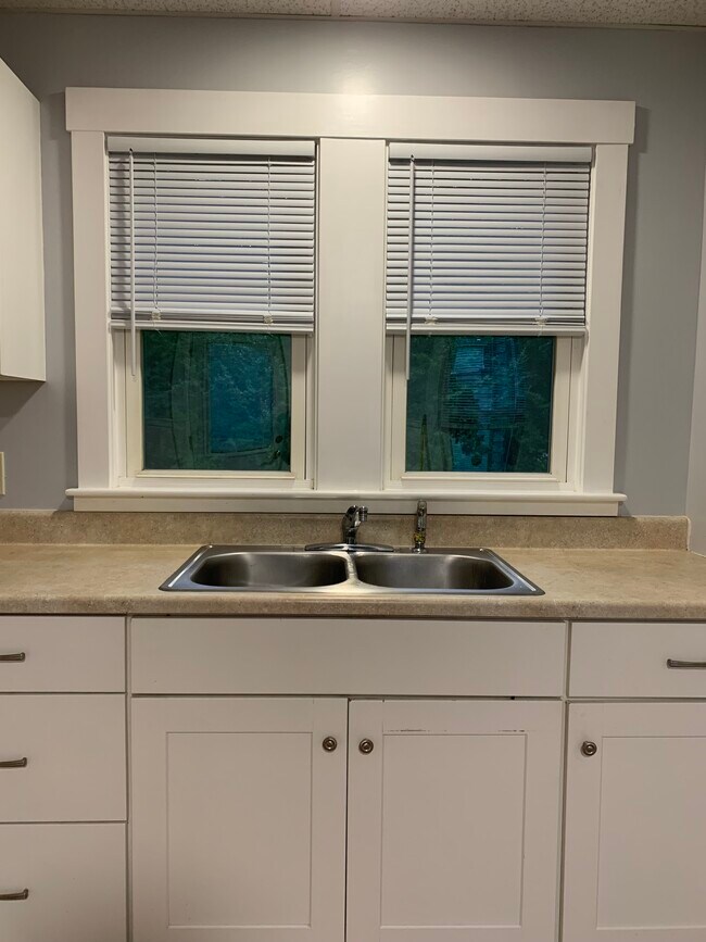 Kitchen sink has a view of the backyard. New blinds. - 218 Walton St