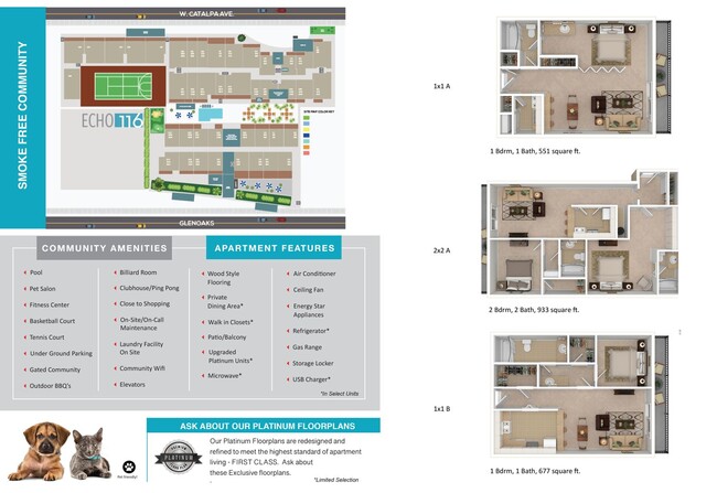 Foto del interior - Echo 116 Apartment Homes