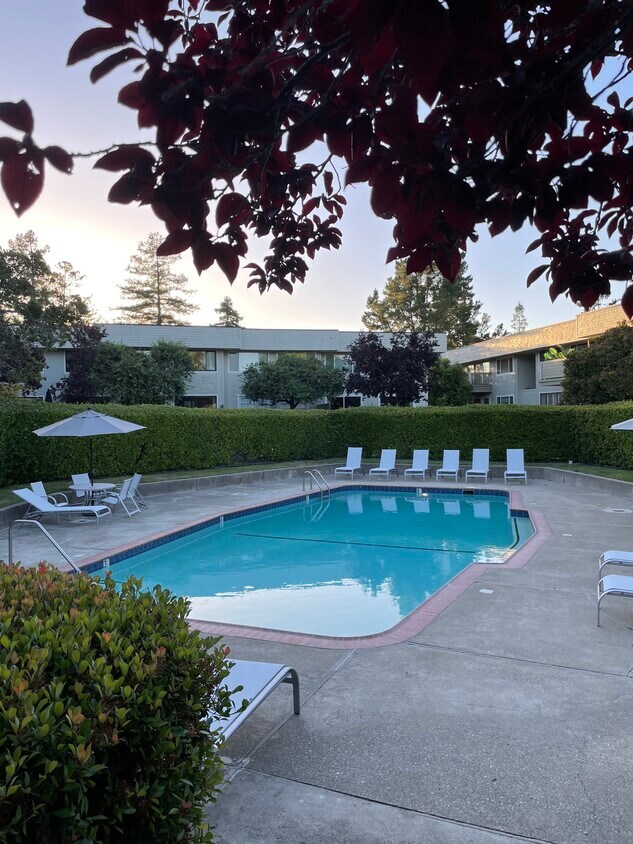Pool with locked access - 2335 Sharon Rd