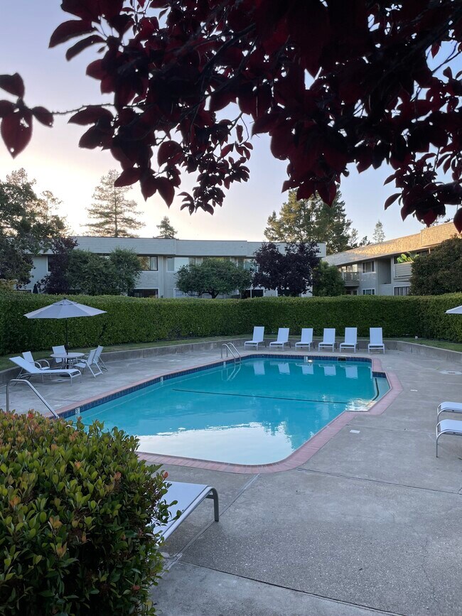Piscina con acceso cerrado - 2335 Sharon Rd