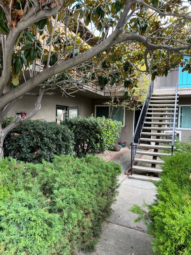 Foto principal - 661 Chemeketa Dr