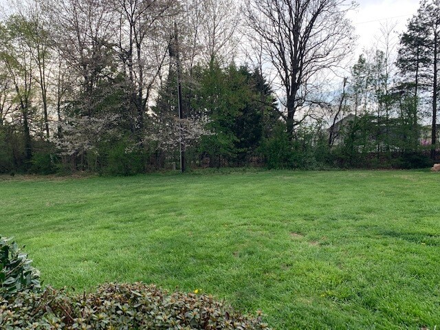 Back Yard - 1507 Traylor Ln
