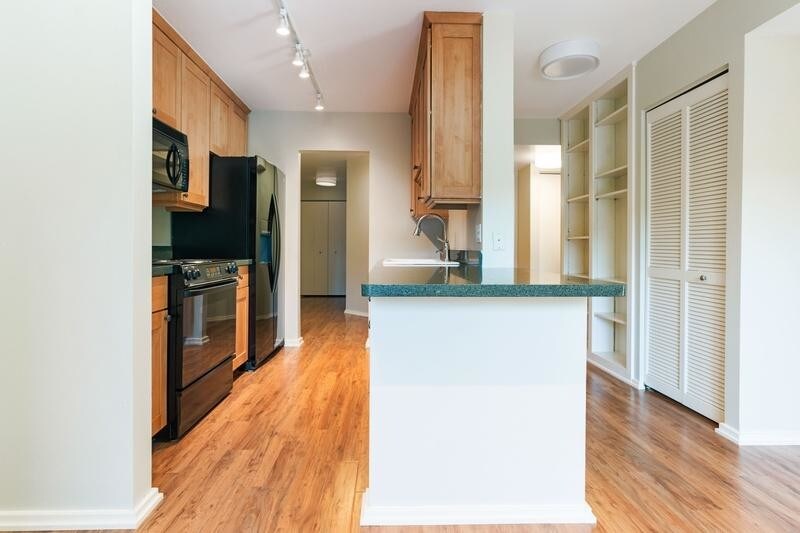 210 W Grant St Unit 227, Minneapolis, MN 55403 Condo for Rent in