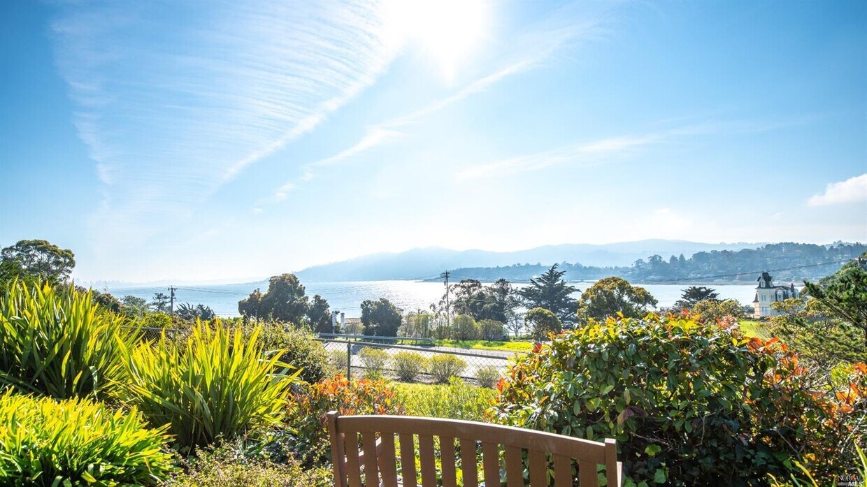 29 Andrew Dr Unit 97, Tiburon, CA 94920 Condo for Rent in Tiburon, CA