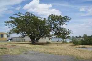 Building Photo - College Acres Mobile Home Park