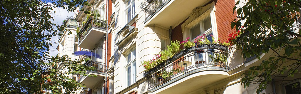 City Profile Image