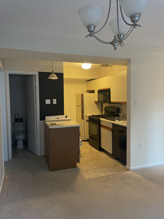 kitchen and bathroom - 206 Park Terrace Ct SE