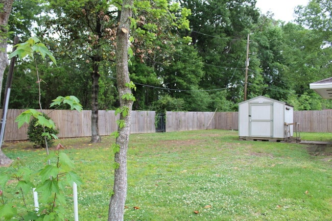 Huge yard - 2491 Donald Dr