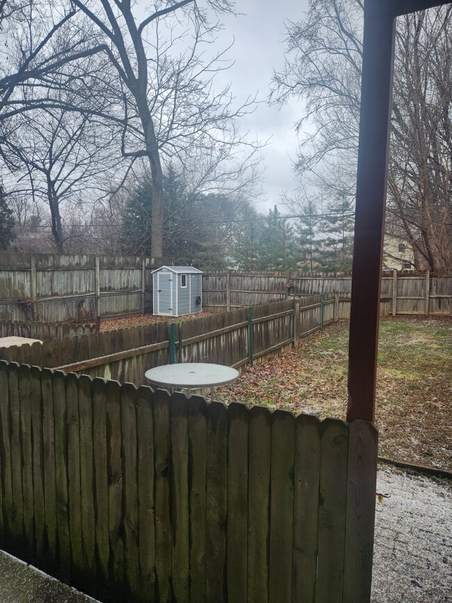 Backyard - 1932 Heath Ave