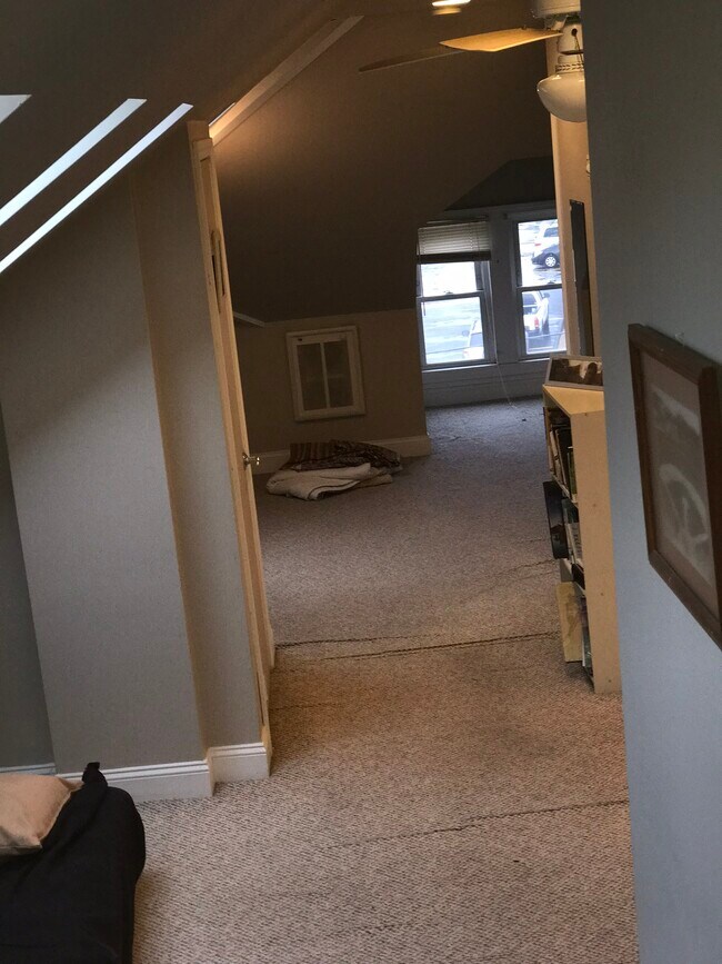 open area - 24 Myrtle St
