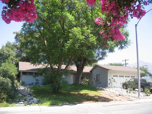 Building Photo - 445 Maravilla Dr