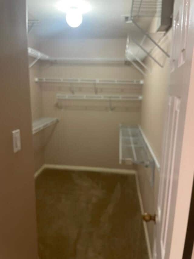 Building Photo - 2219 Beacon Light Ln