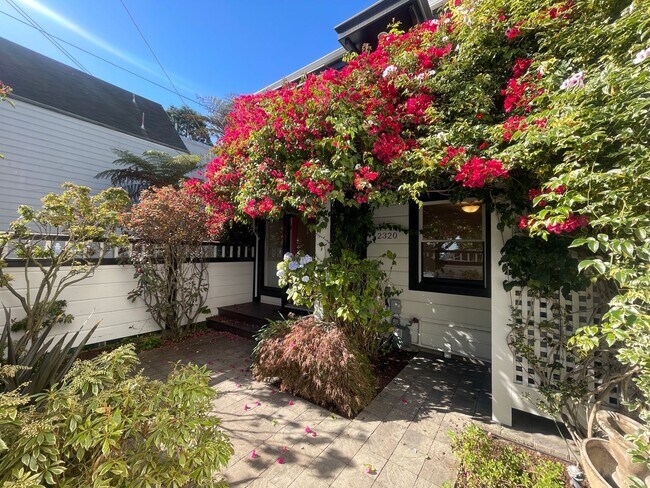 Building Photo - Noe Valley: Fully Renovated Cottage Apartm...