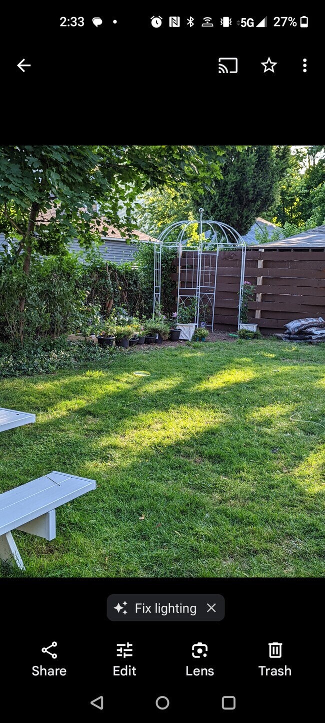 Back yard close up - 98 Wentworth Ave
