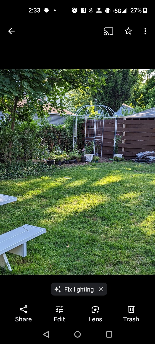 Back yard close up - 98 Wentworth Ave