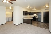 This single-floor unit offers a functional and practical layout designed to maximize everyday comfort. The open living area is finished with neutral-toned carpet and features a ceiling fan with built-in lighting, creating a comfortable and airy atmosphere. Large sliding glass doors and windows fitted with vertical blinds allow natural light to fill the space while offering outdoor views.

The kitchen is a standout feature, showcasing dark espresso-toned cabinetry extending to the upper walls, light granite-style countertops, and wood-look tile flooring. It is fully equipped with black appliances, including a refrigerator, electric range, dishwasher, and overhead range hood, making it both stylish and highly functional. The kitchen connects seamlessly to the main living space via a peninsula-style counter.

A dedicated laundry area accommodates a full-size washer and dryer, adding significant convenience. The bedrooms are carpeted, with clean white walls, dark wood-accented doors, and dark baseboards. One bedroom benefits from a large window that brings in ample natural light. The bathroom is finished with wood-look flooring and includes a full bathtub and shower combination, a toilet, and a towel bar, presenting a clean and practical design throughout.