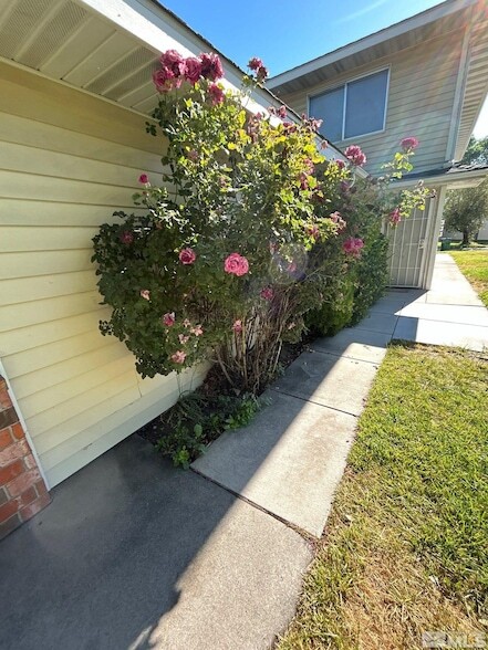 Building Photo - 5020 Catalina Dr