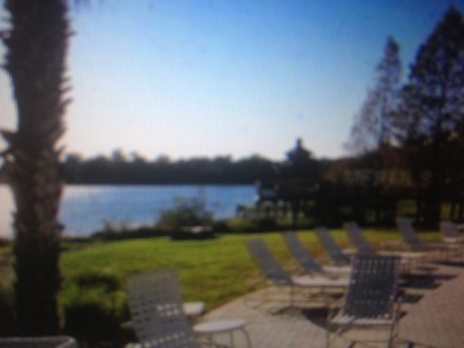 Foto del edificio - 1400 Lake Shadow Cir
