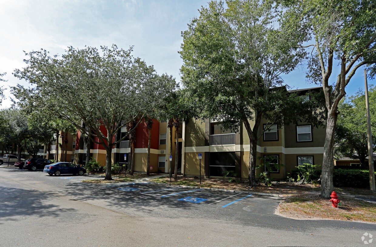Sabal Palm Carrollwood Apartments Apartments Tampa, FL