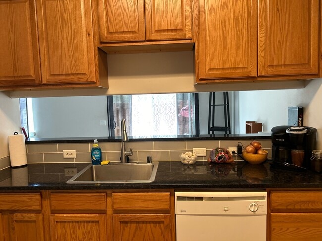 Kitchen Sink/Cabinets - 20055 Doanna Way