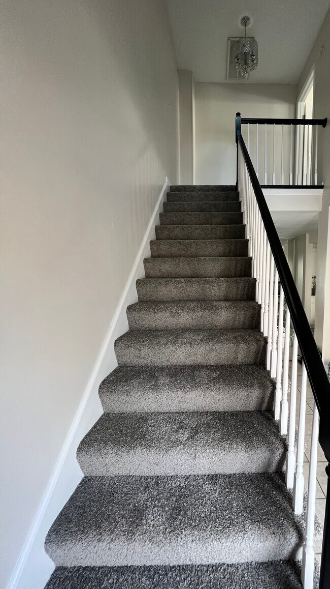 New carpet - 1004 Saint Andrews Way