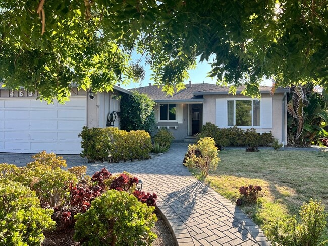 Quiet Fremont Single Story - Quiet Fremont Single Story House