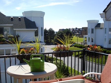 Foto del edificio - 227 Lakefront Blvd
