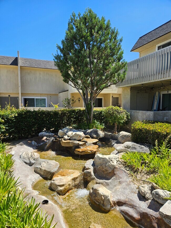 Fuente del arroyo del patio - 1200 Opal St